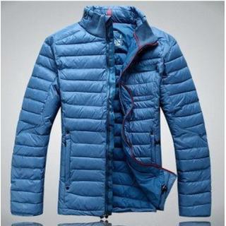 Doudoune The North Face Bleu Pour Homme Pas Cher